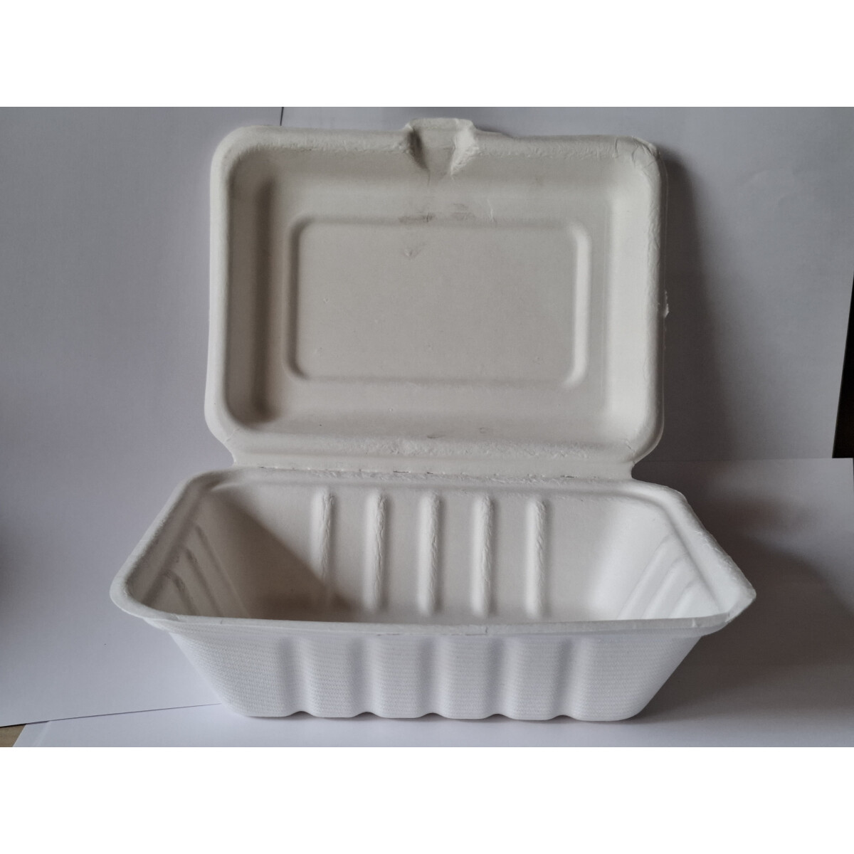 Bagasse Lunchbox 18,5x14x6,9 cm  Nr.1675